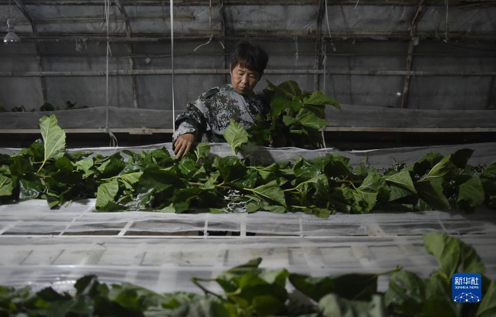 永利官网游戏站号